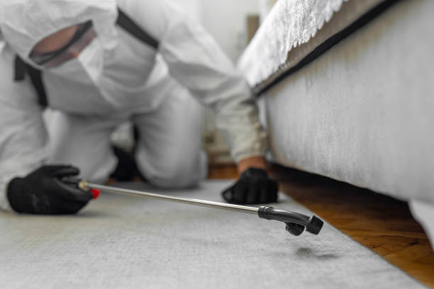 Professional Ant Control technician working in Wrightsville Beach, NC