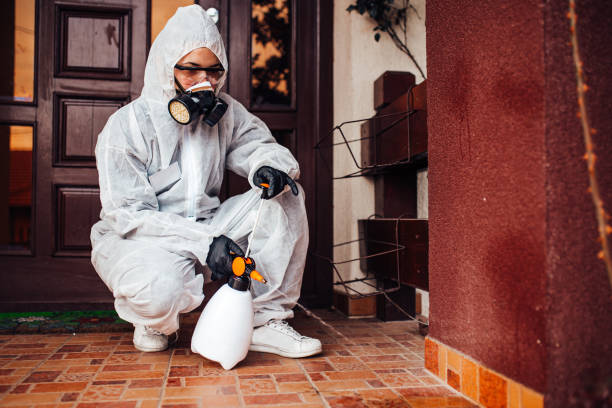 Reliable Ant Control contractor in Wrightsville Beach, NC by Show Me Pest Control